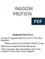 Kingdom Protista