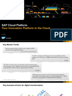 SAP Cloud Platform PDF