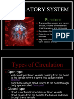 Circulatory System