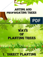 Jasmine Jade M. Claridades Planting and Propagating Trees