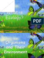 Ecology Introduction