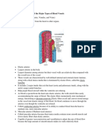 Structure and Functions of The Major Types of Blood Vessels