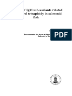 PHD Thesis Atif Kamil PDF