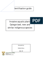 Aquatic Plants Identification Guide