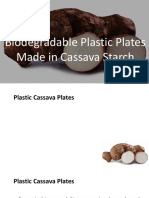 Biodegradable Plastic Plates Made in Cassava Starch