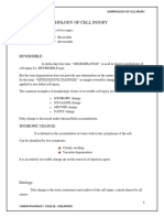 Morphology of Cell Injury Word