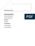 Character: Trait: Allele??? Possible Genotype:: Schematic Diagram