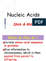 Nucleic Acids: Dna & Rna