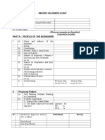 Credit Audit Format