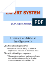 AI - Expert System