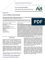 Acta Veterinaria Brasilica: Cassava Foliage in Quail Feeding