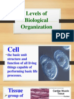 Levels of Biological Organization