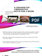 Nutritional Strategies For Optimizing Reproductive Performance of Sow