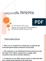 Kuliah PPDS - Cranial Nerve