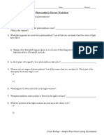 Photosynthesis Review Worksheet