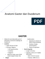 Anatomi Gaster Dan Duodenum