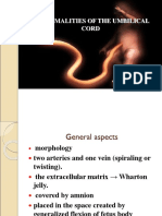 10 Abnormal Umbilical Cord