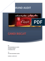 CANDI-Brand Audit Report