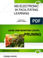 Care and Maintain Crops