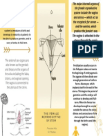 Female Reproductive Brochure