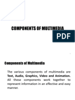 Components of Multimedia