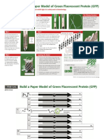 GFP Model