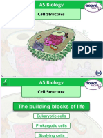 Cell Structure