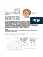 Hydrocephalus AND Neural Tube Defect