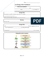 1.4.6 Energy Flow Worksheet