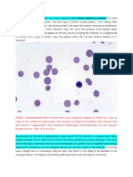 FIGURE: Haemobartonella Felis in Blood From A Cat. Organisms Appear As Small Cocci, Rods, or