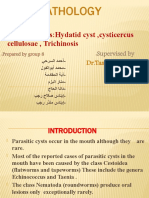 Group 8 Parasitic Cysts