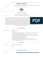 Nimra CV PDF