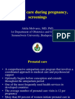 Factors of Care During Pregnancy, Screenings