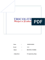 Tricolite Project Report Ashish PDF