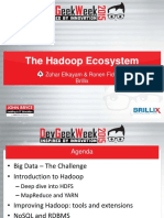 Hadoop Ecosystem Large PDF