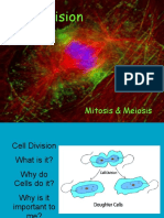 Cell Division Mitosis Meiosis PDF