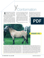 Conformation: Pony #1