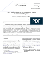 Origin and Significance of Calcium Carbonate in Soils of Southwestern Patagonia