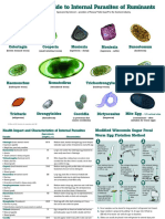 Guide To Internal Parasites of Ruminants: Bunostomum Moniezia Cooperia Ostertagia Moniezia