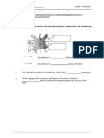 WORKSHEET 7.1 The Respiratory Structures and Breathing Mechanisms in Humans and Animals