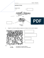 A. Label The Diagrams Below: WORKSHEET 7.3 Respiration in Plants