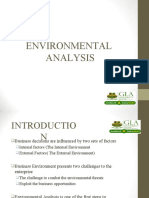 Environmental Analysis