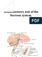 Ascending Tracts (Somatosensory Axis)