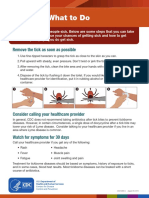 Tick Bite What To Do