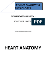 Lecture 3 Cardiovascular System 1