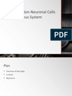 Neuroglia: Non-Neuronal Cells of The Nervous System
