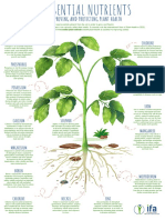 For Improving and Protecting Plant Health: Nitrogen Chlorine