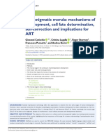 The Enigmatic Morula: Mechanisms of Development, Cell Fate Determination, Self-Correction and Implications For ART