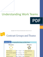 Understanding Work Teams