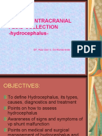 Massive Intracranial Fluid Collection